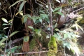 DSCN0533