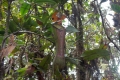 DSCN0537