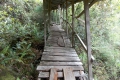 DSCN0541