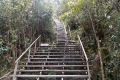 DSCN0548