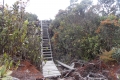 DSCN0559