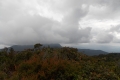 DSCN0588