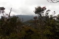 DSCN0595