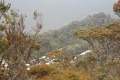 DSCN0596