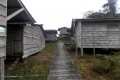 DSCN0606
