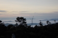 DSCN0673