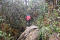 DSCN0677