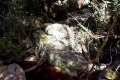 DSCN0678