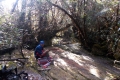 DSCN0685