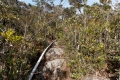 DSCN0686
