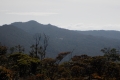 DSCN0690