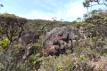 DSCN0704
