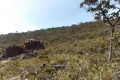 DSCN0713