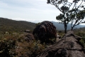 DSCN0722
