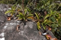 DSCN0724