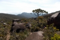 DSCN0734