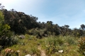 DSCN0737