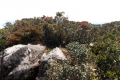 DSCN0742