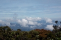 DSCN0757