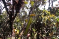 DSCN0759