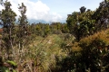 DSCN0798