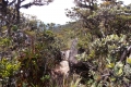 DSCN0806