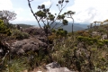 DSCN0807