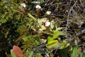 DSCN0829