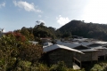 DSCN0833