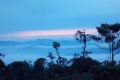 DSCN0877