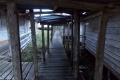 DSCN0888