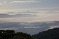 DSCN0914