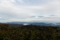 DSCN0931