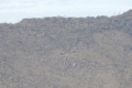 DSCN0957