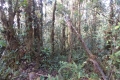 DSCN0961