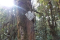DSCN0962