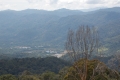 DSCN0967