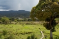 DSCN0969