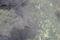 DSC04928