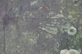 DSC04931