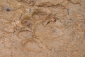 pantaicermin 124