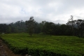 DSC00007