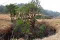 DSC00031