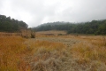 DSC00041