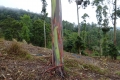 DSC00091