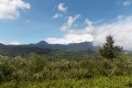 DSCN1036