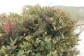 DSCN2223