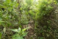 DSCN2289