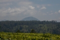 DSCN9379
