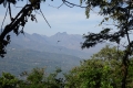 DSC00405